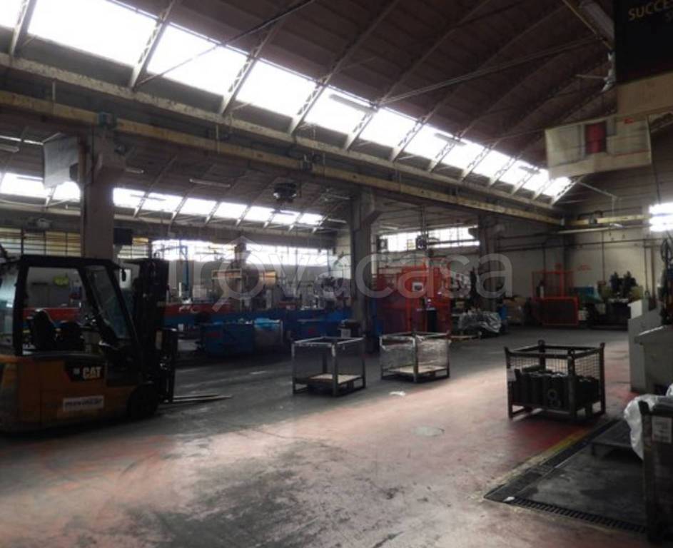 immagine annuncio 7 di 14