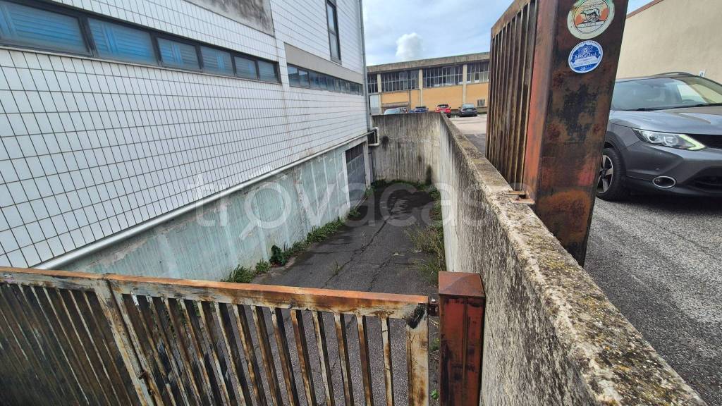 immagine annuncio 12 di 15