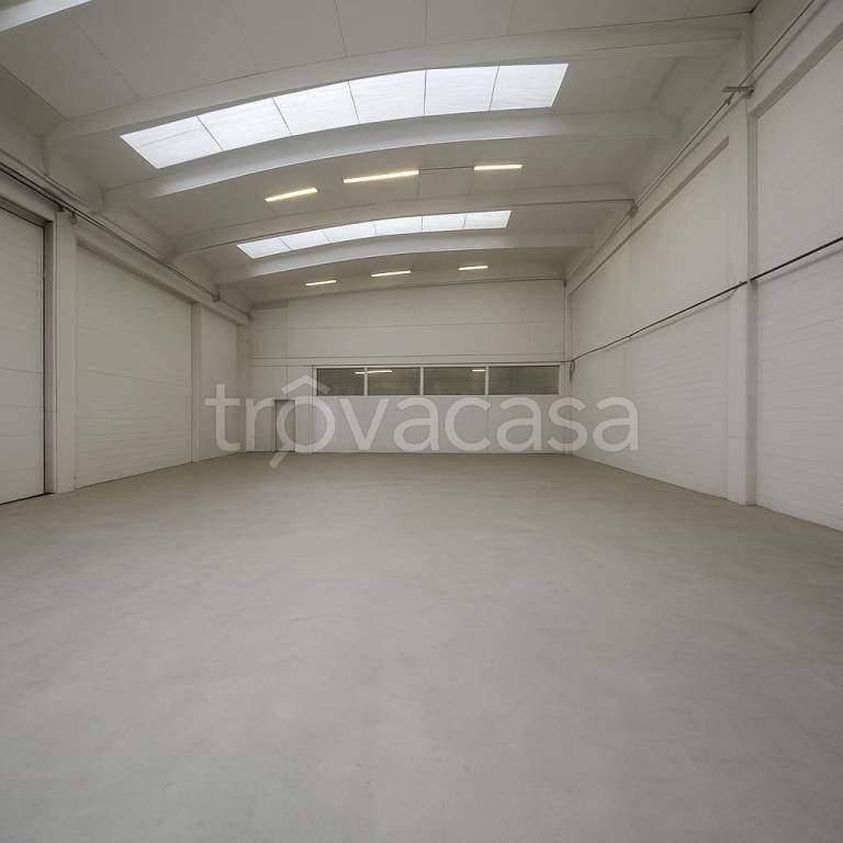 immagine annuncio 4 di 8