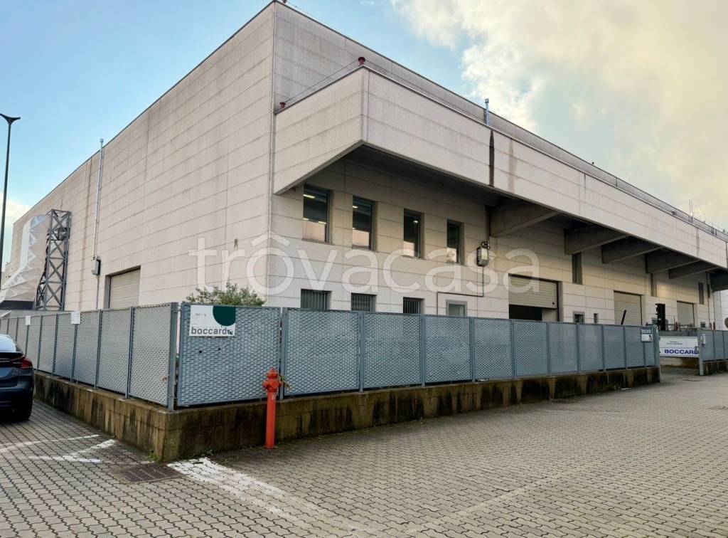 immagine annuncio 2 di 8