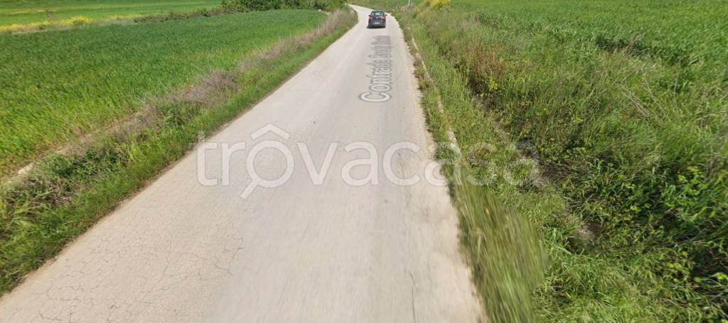 immagine annuncio 2 di 11