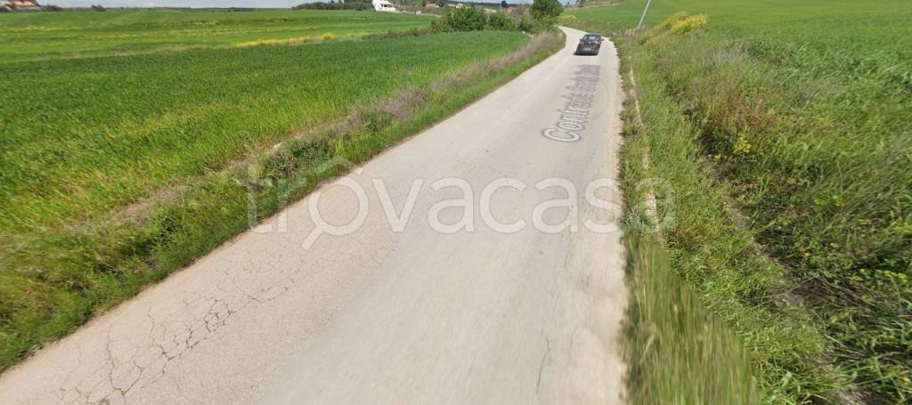 immagine annuncio 6 di 11