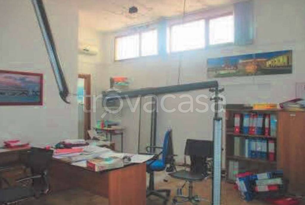 immagine annuncio 5 di 14