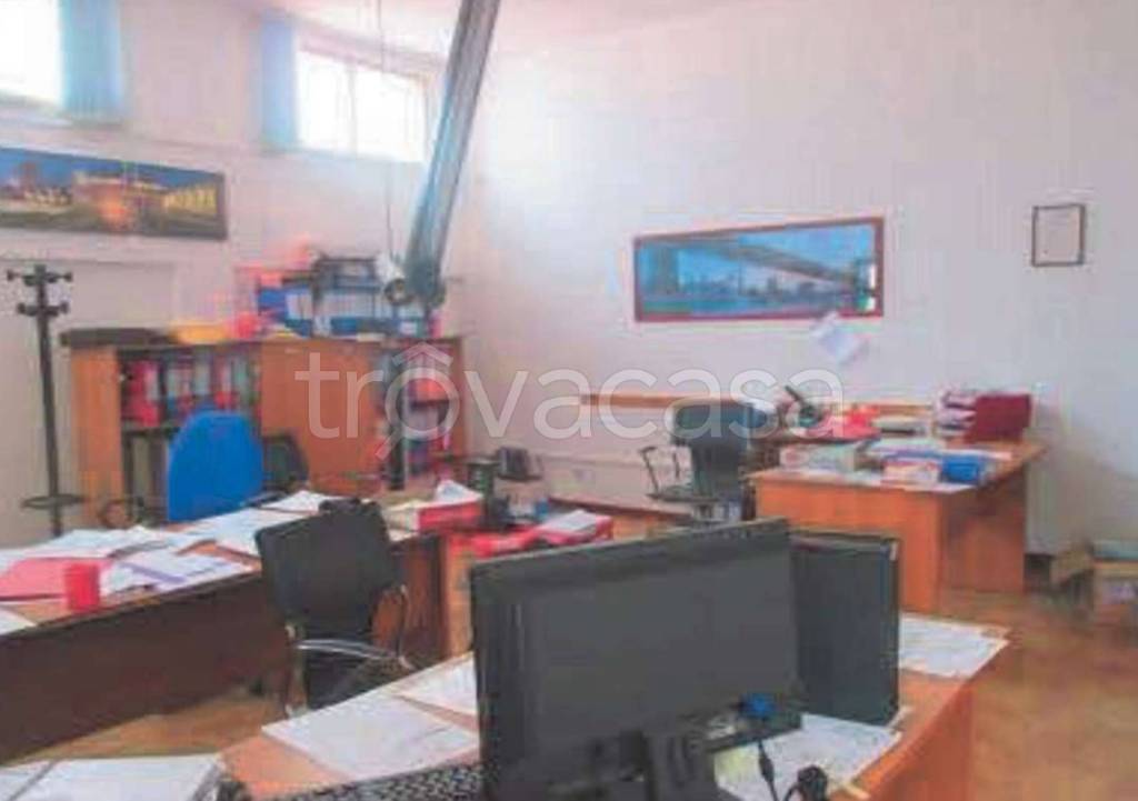 immagine annuncio 6 di 14