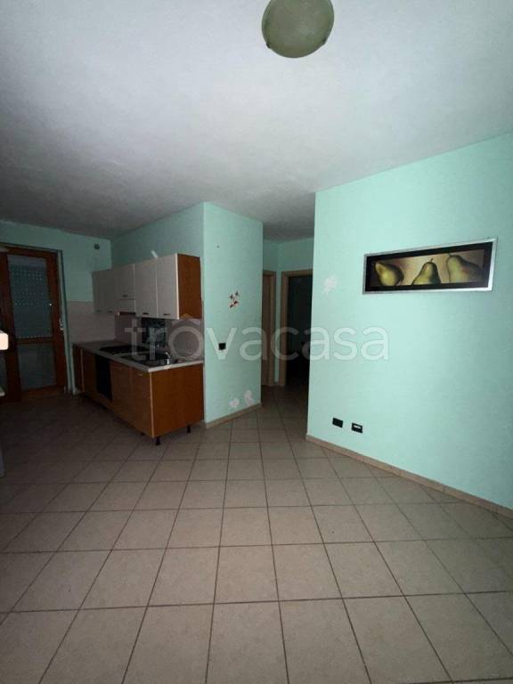 immagine annuncio 9 di 14