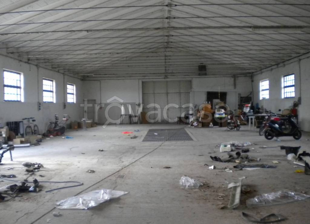 immagine annuncio 3 di 11