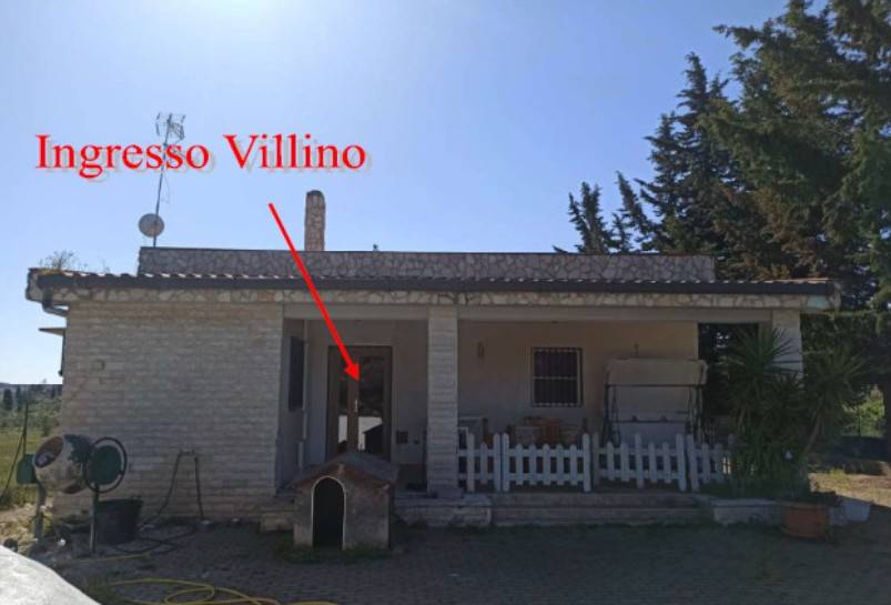 immagine annuncio 1 di 2