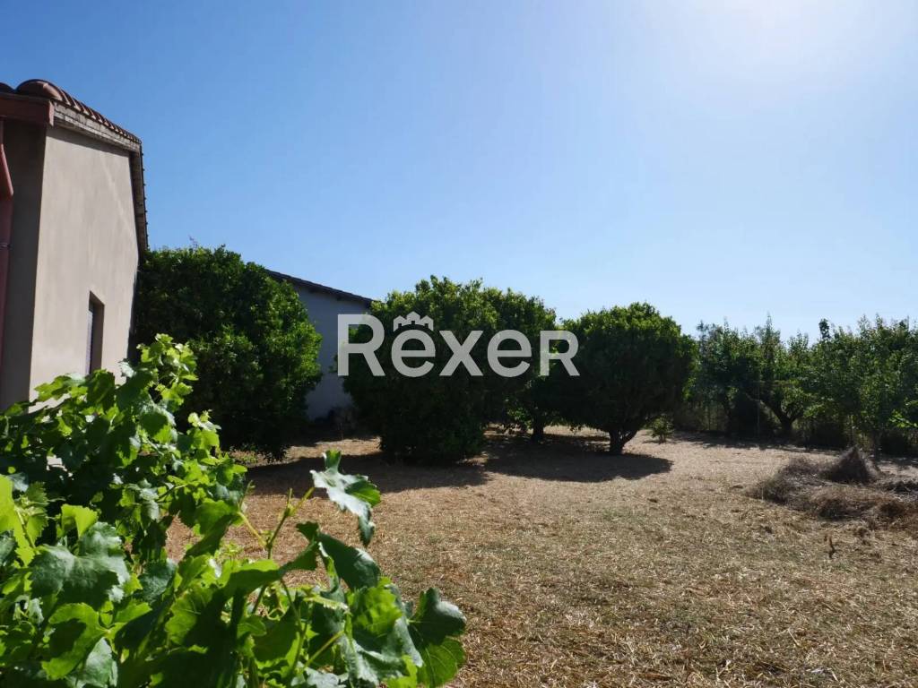 immagine annuncio 6 di 8