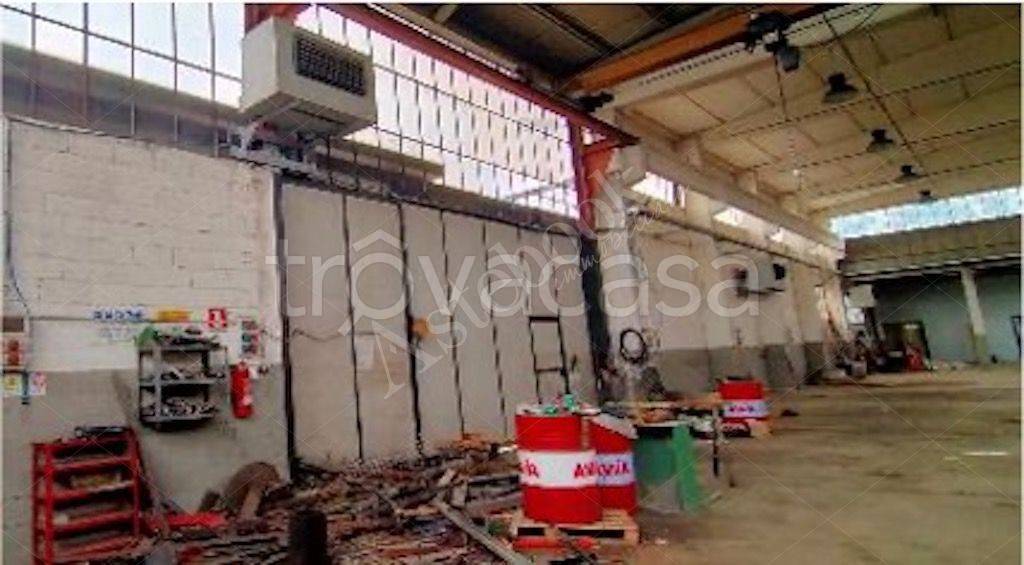 immagine annuncio 11 di 15