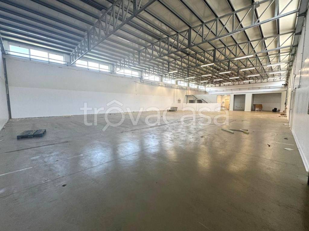 immagine annuncio 4 di 12