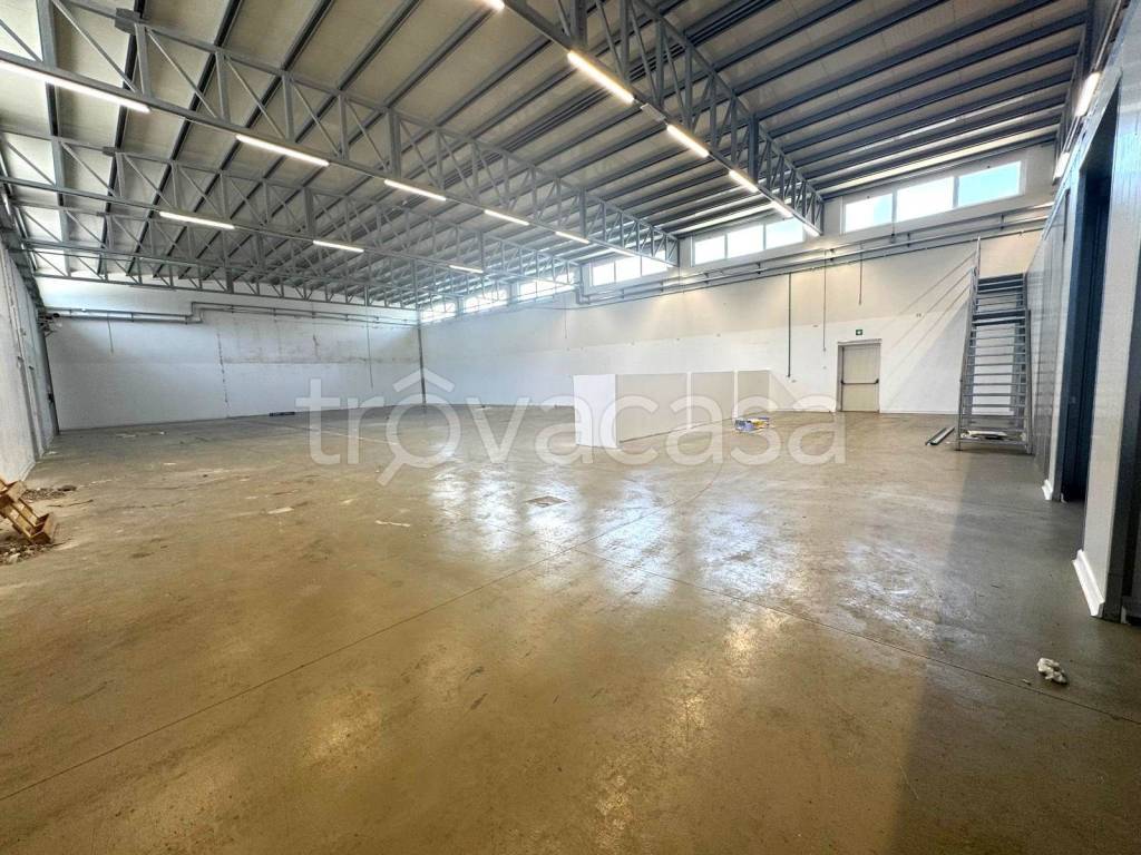 immagine annuncio 10 di 12