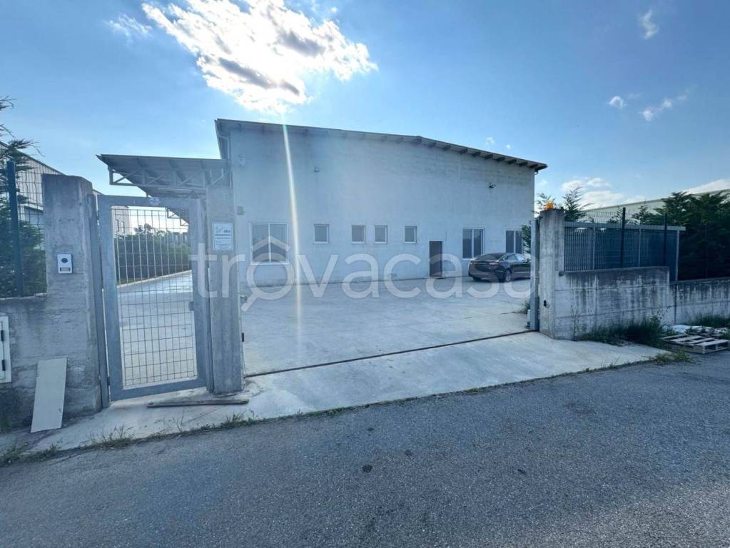 immagine annuncio 11 di 12