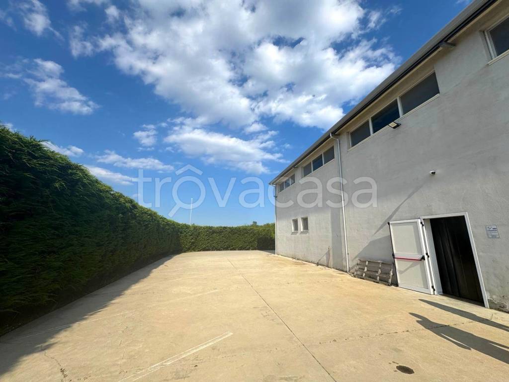 immagine annuncio 3 di 6