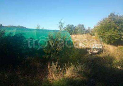 immagine annuncio 7 di 14