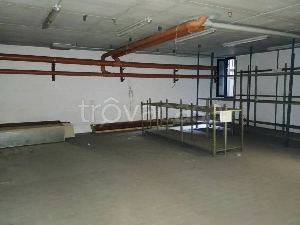 immagine annuncio 9 di 11