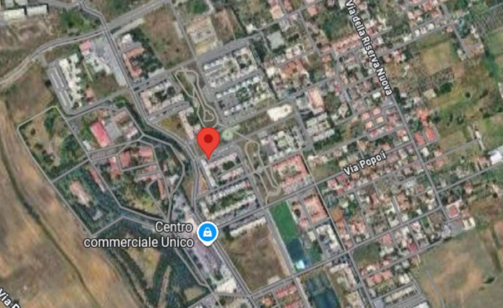 immagine annuncio 9 di 14