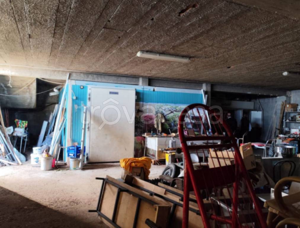 immagine annuncio 12 di 13