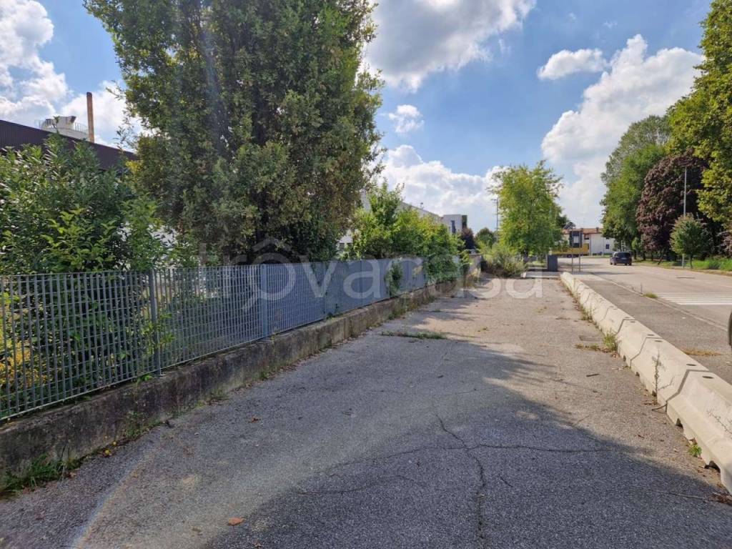 immagine annuncio 3 di 13