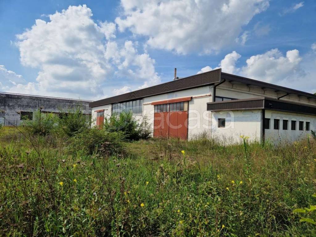 immagine annuncio 5 di 13