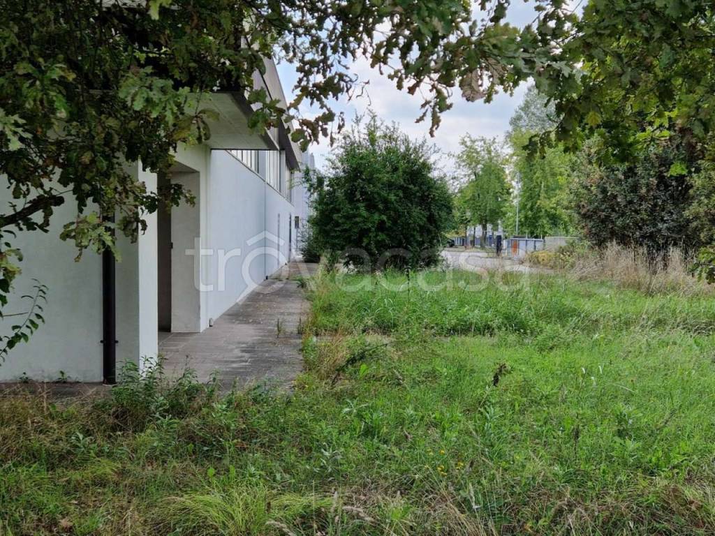 immagine annuncio 6 di 13