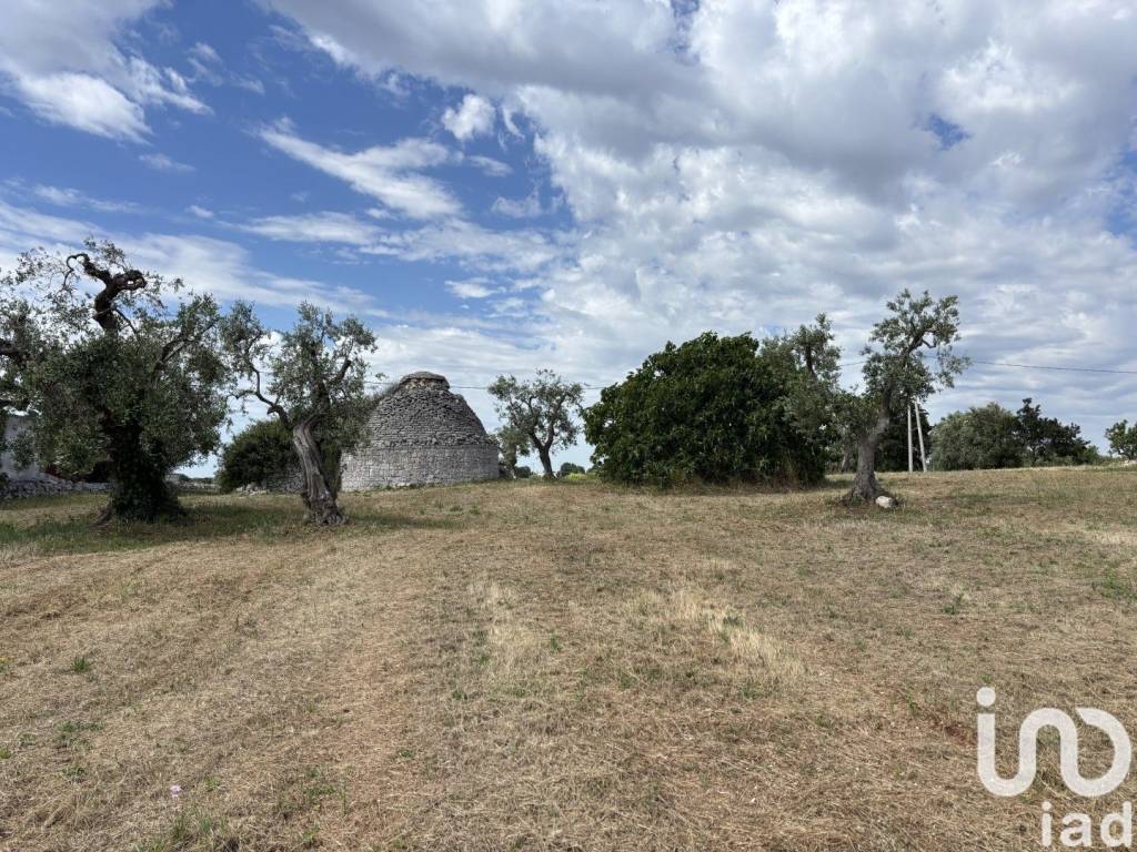 immagine annuncio 8 di 12