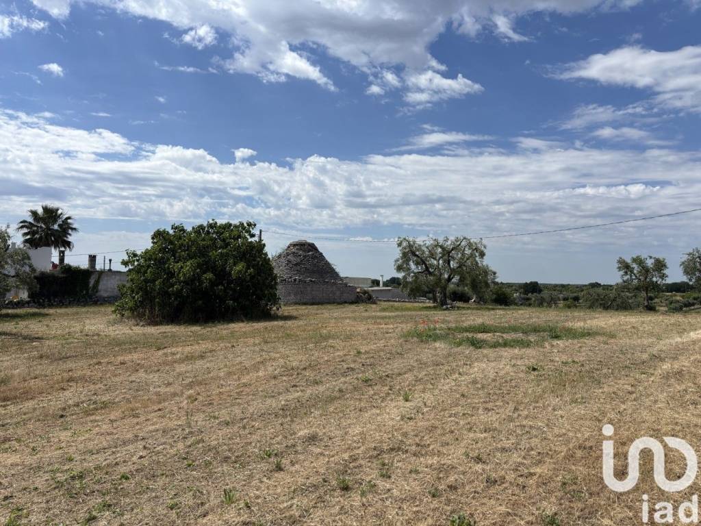 immagine annuncio 10 di 12