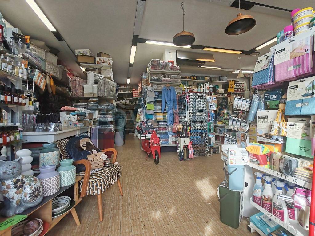 immagine annuncio 3 di 14