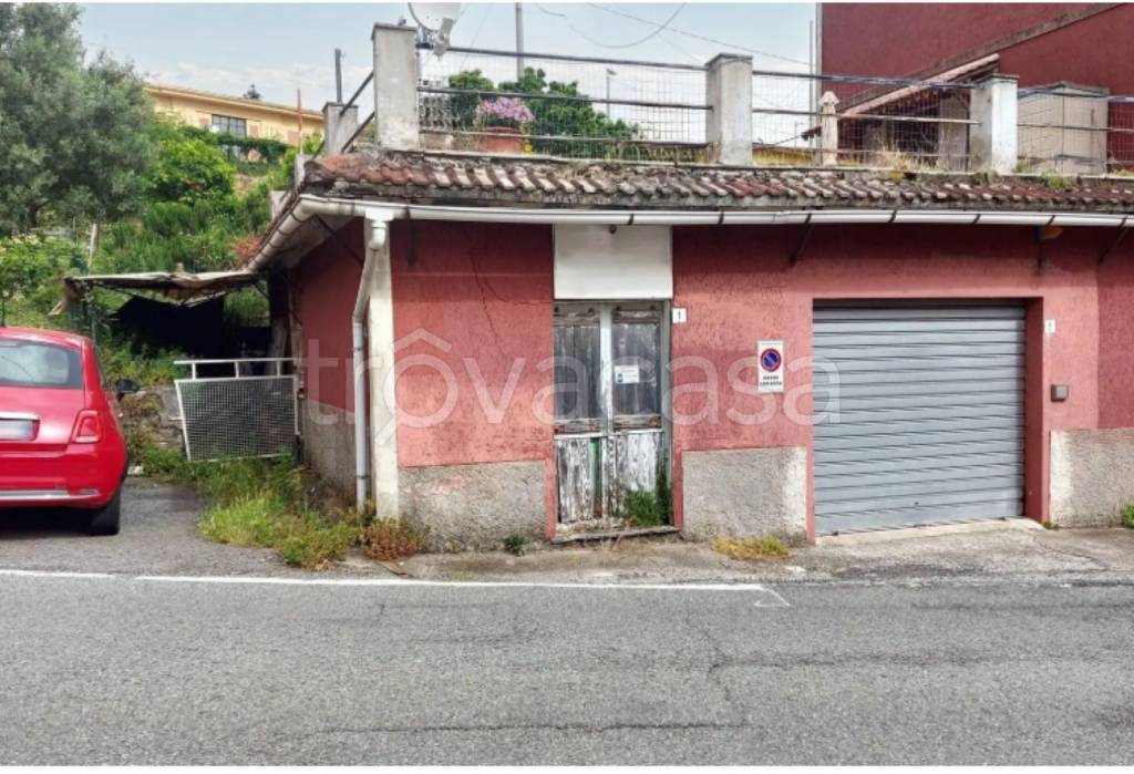 immagine annuncio 4 di 14