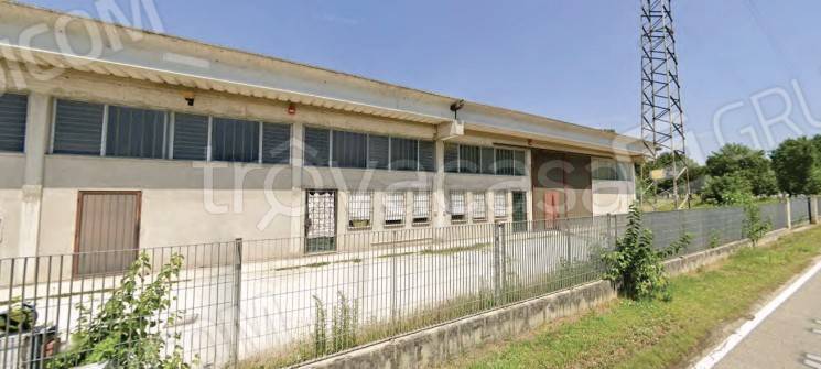 immagine annuncio 1 di 11