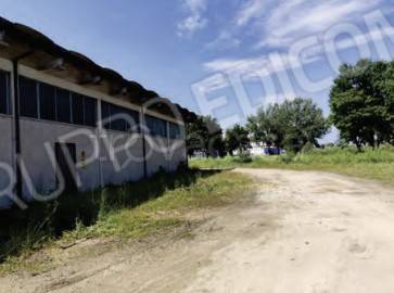 immagine annuncio 2 di 11