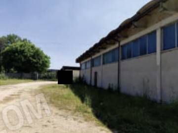 immagine annuncio 3 di 11