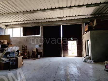 immagine annuncio 6 di 11