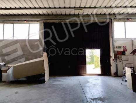 immagine annuncio 5 di 11