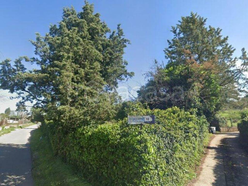 immagine annuncio 1 di 12