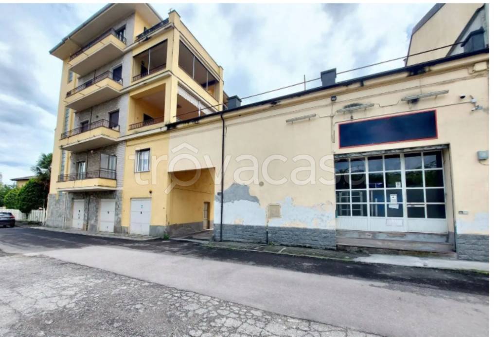 immagine annuncio 4 di 12