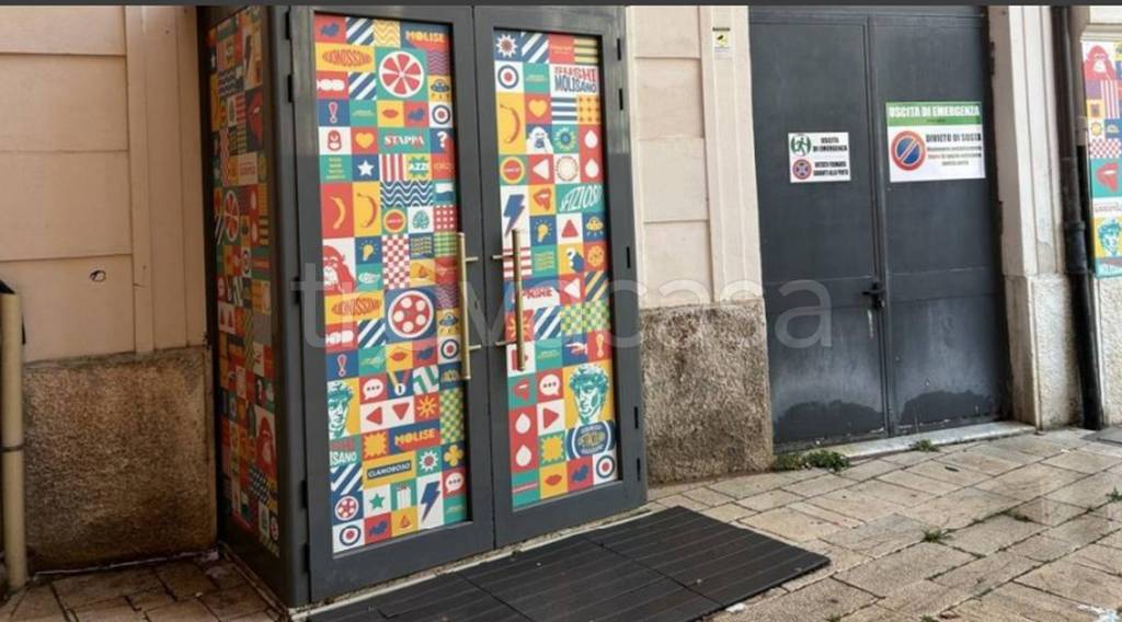 immagine annuncio 7 di 13