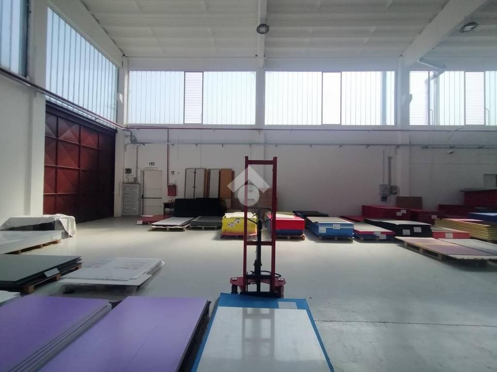 immagine annuncio 4 di 11