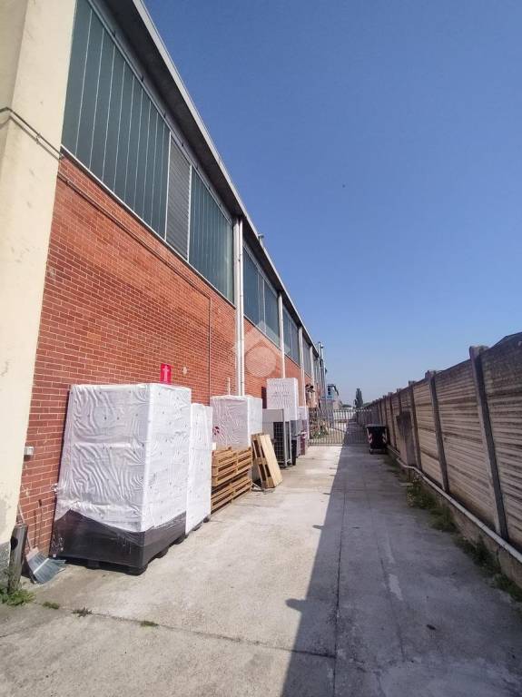 immagine annuncio 5 di 11