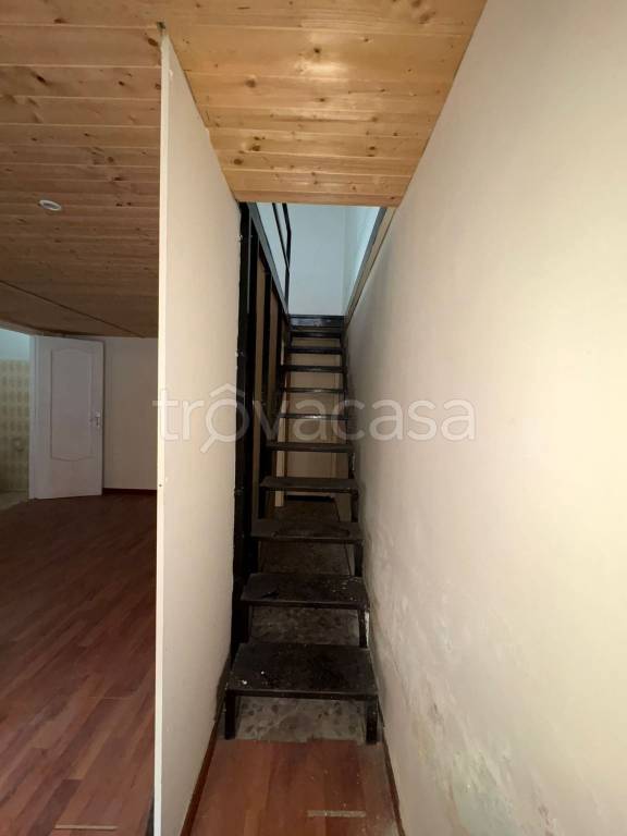 immagine annuncio 6 di 14