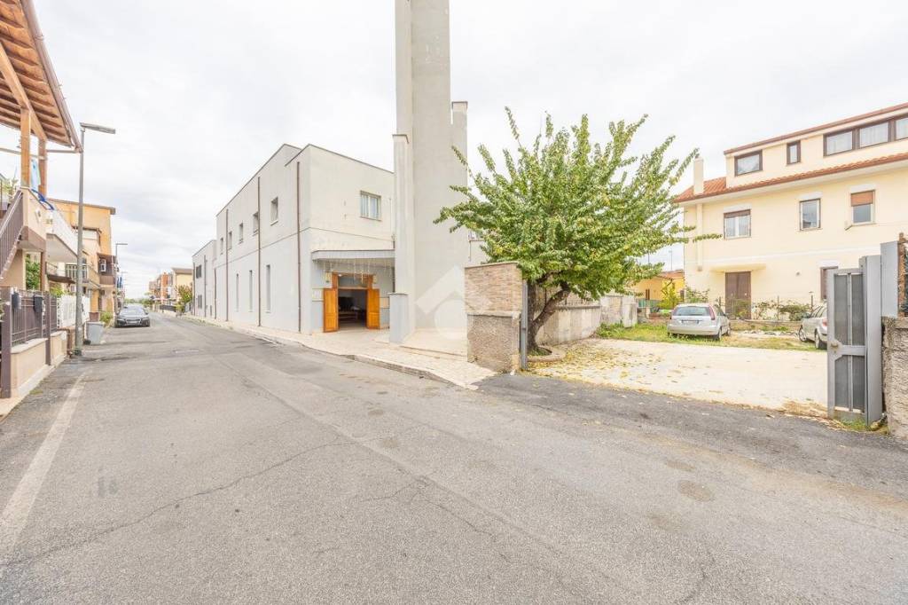 immagine annuncio 9 di 10