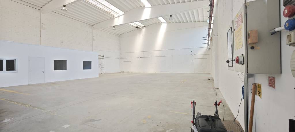 immagine annuncio 6 di 15