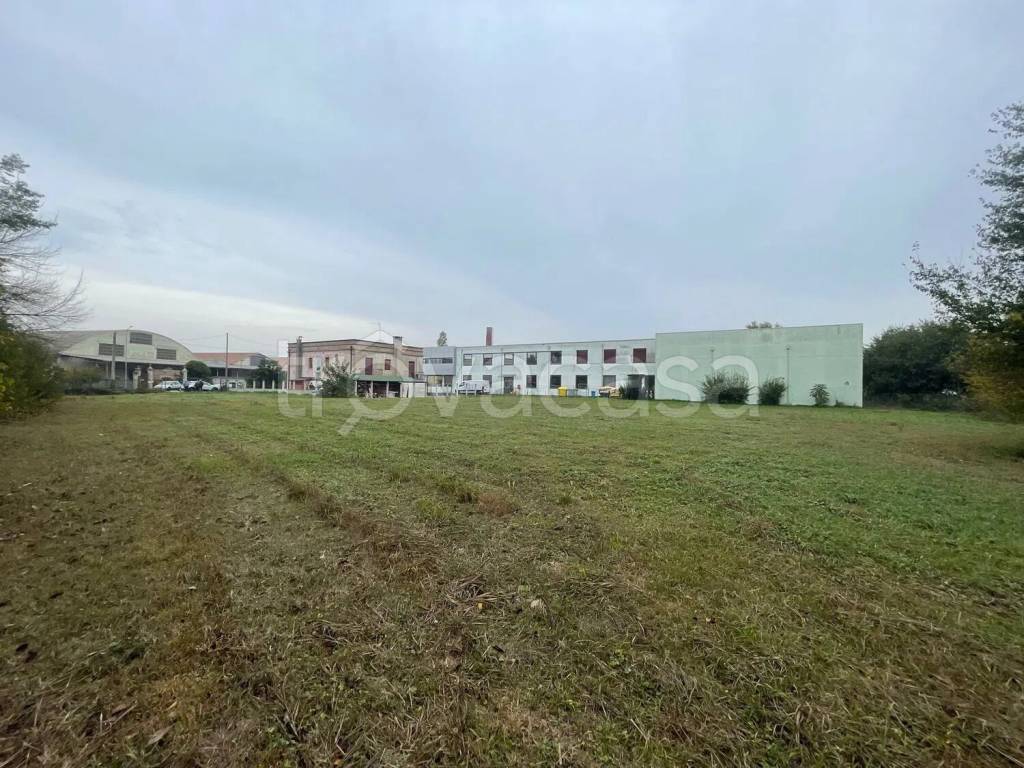 immagine annuncio 3 di 8