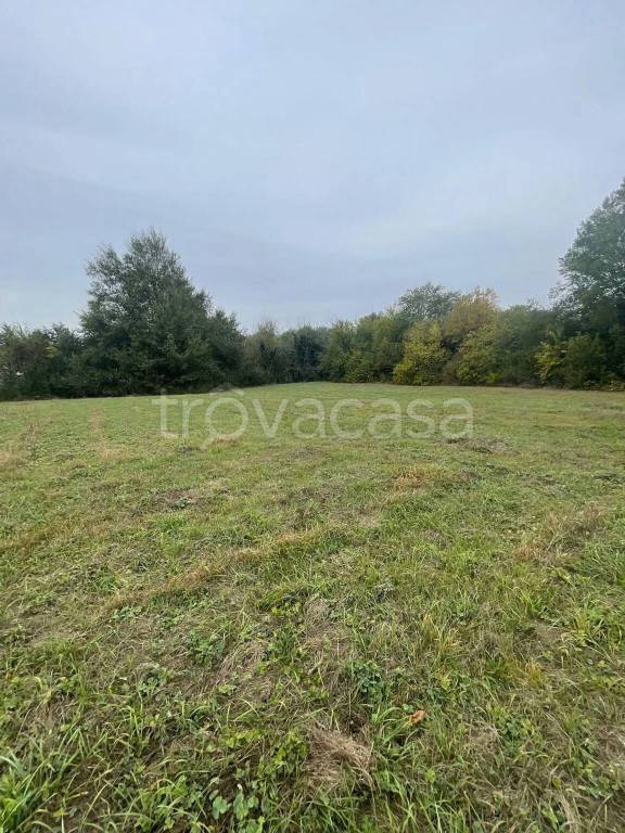 immagine annuncio 4 di 8