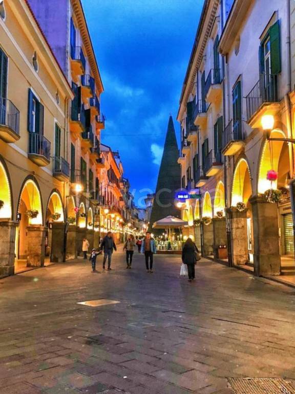 immagine annuncio 4 di 14