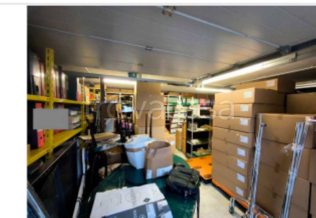 immagine annuncio 9 di 11