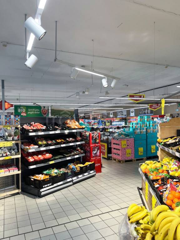 immagine annuncio 2 di 7