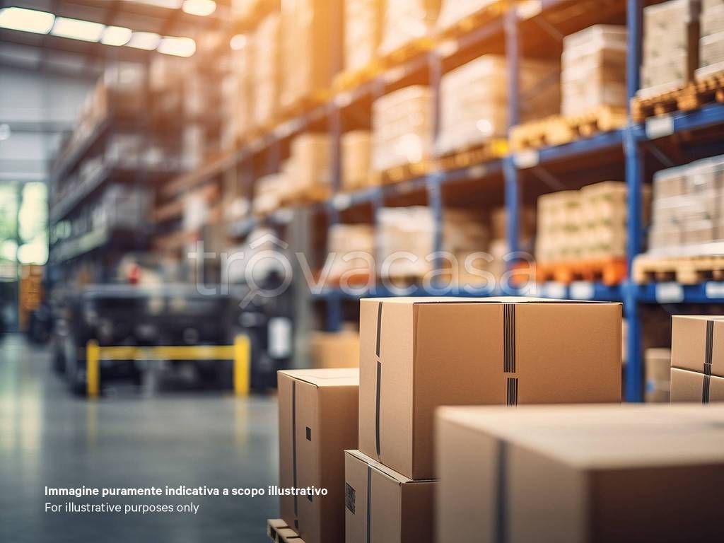 immagine annuncio 3 di 7