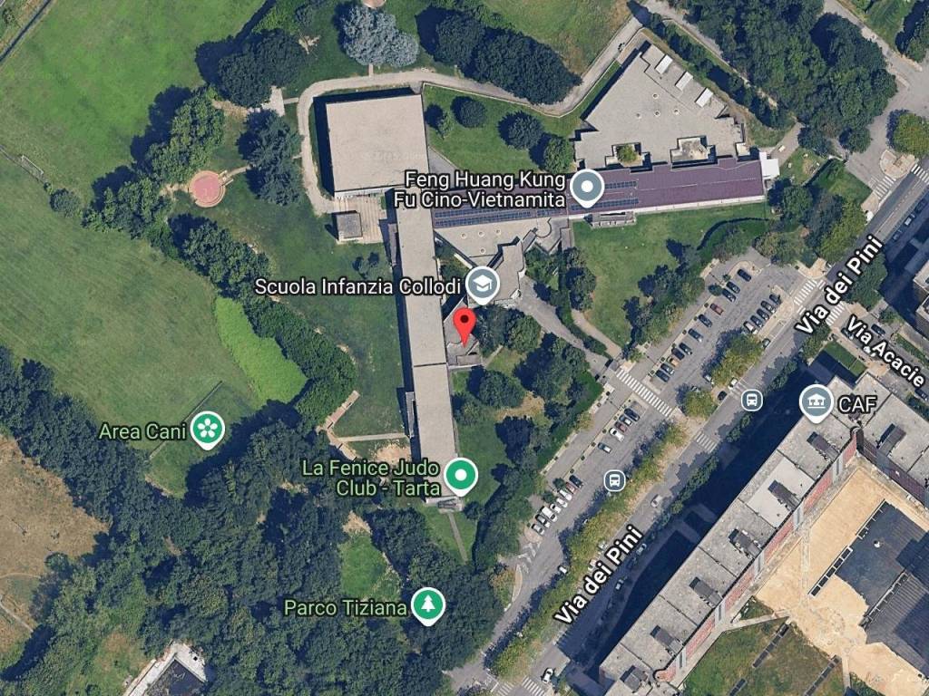 immagine annuncio 1 di 11