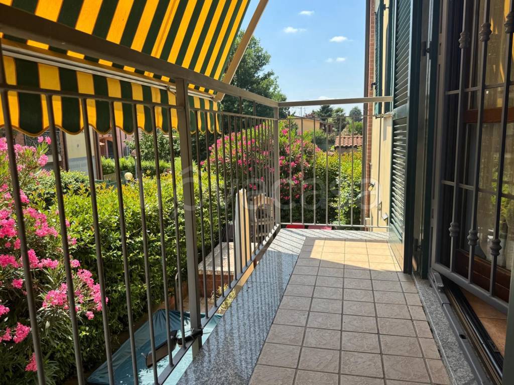 immagine annuncio 9 di 15