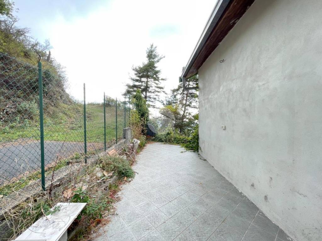 immagine annuncio 9 di 14